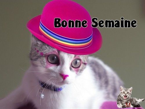 BONNE SEMAINE