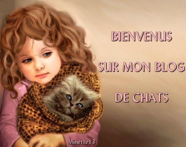 BIENVENUS CHEZ MINETTE13