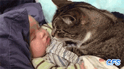 http://minette13.m.i.pic.centerblog.net/5f3c28b9.gif