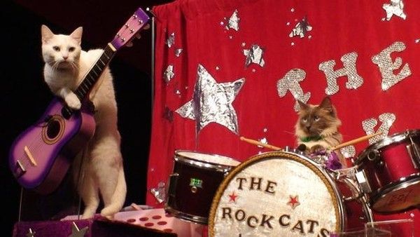 LE GROUPE DE MUSIQUE