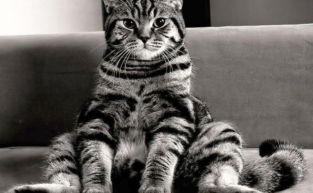 EN NOIR ET BLANC